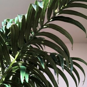 Meet your Posher, Collins